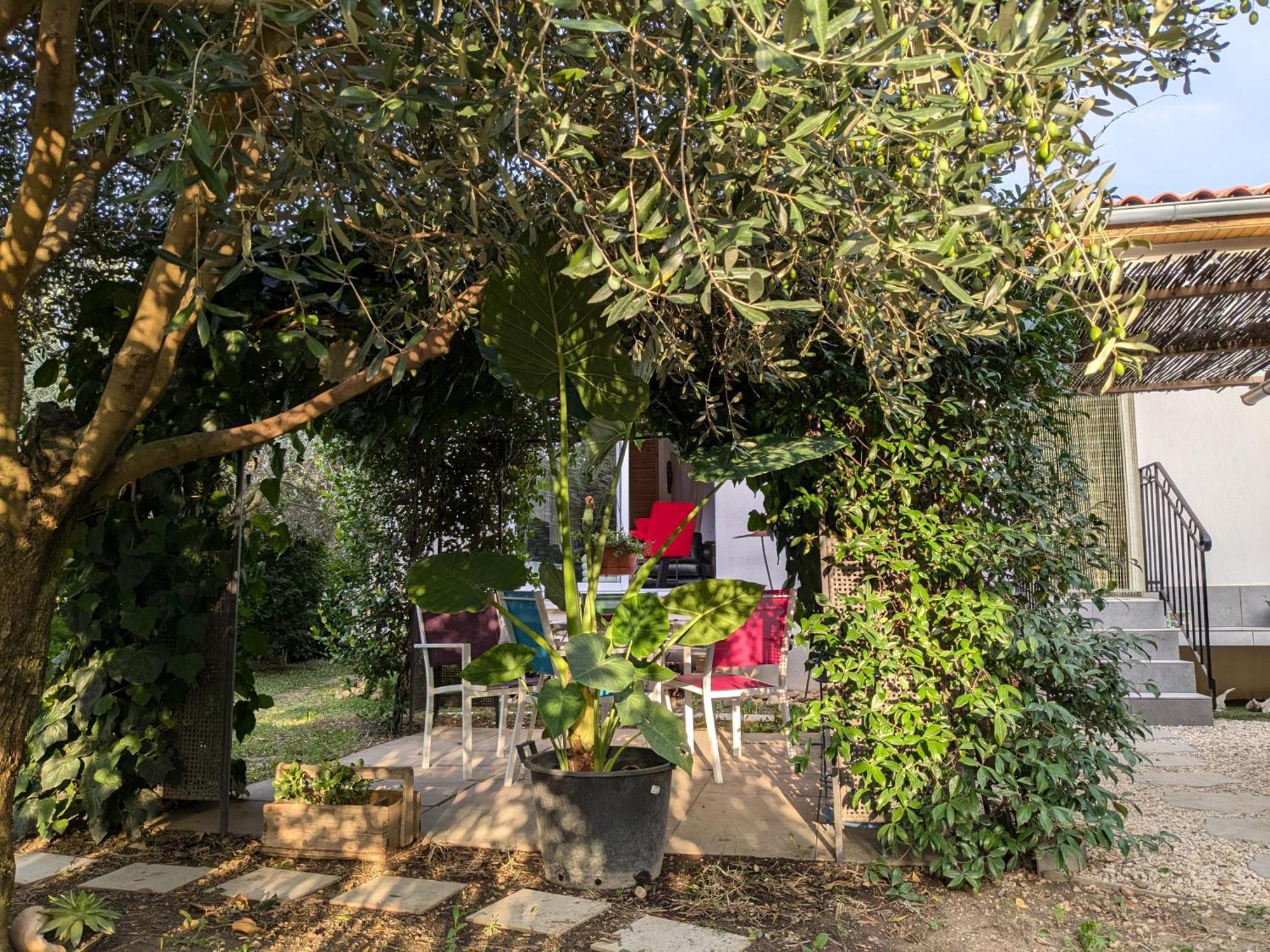 莫里埃莱阿维尼翁La Maison Sous L'Olivier别墅 外观 照片